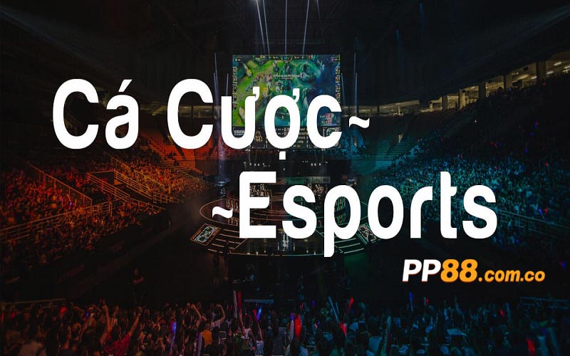 Cá cược Esports